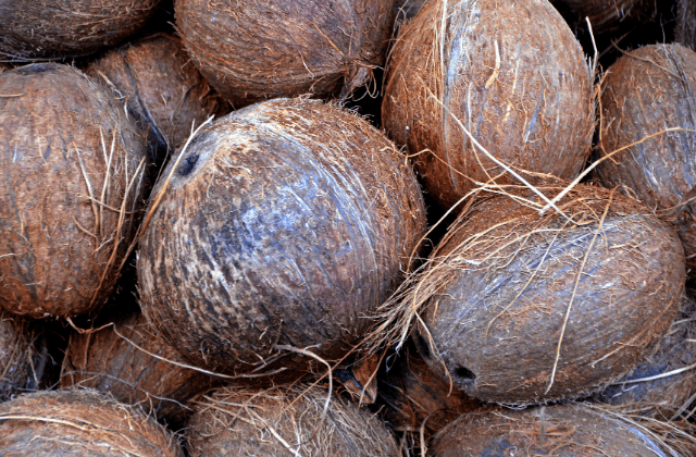 Coconut hard shell