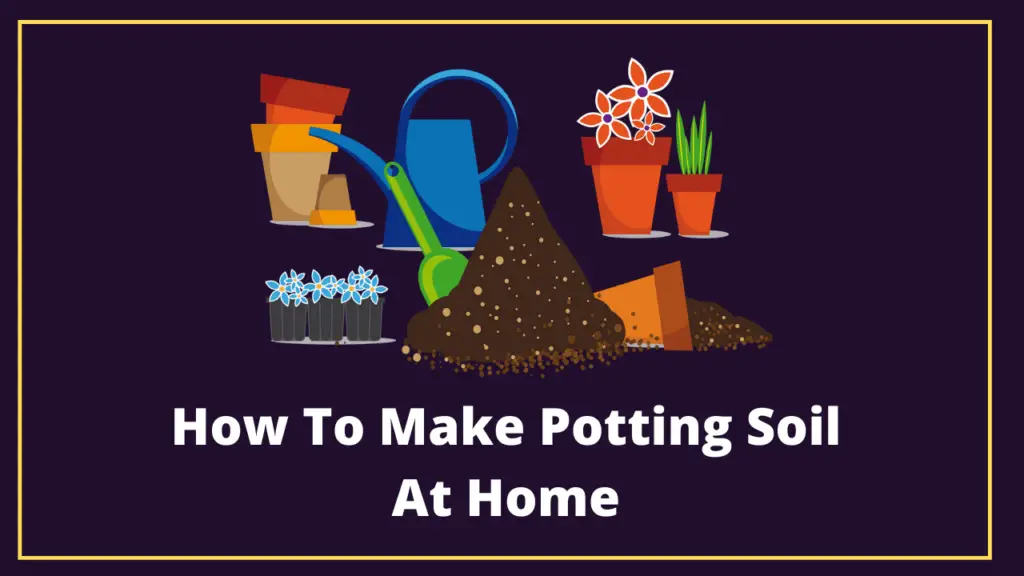 How to make potting soil at home in india
