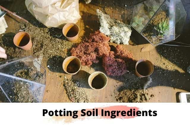 Potting soil ingredients