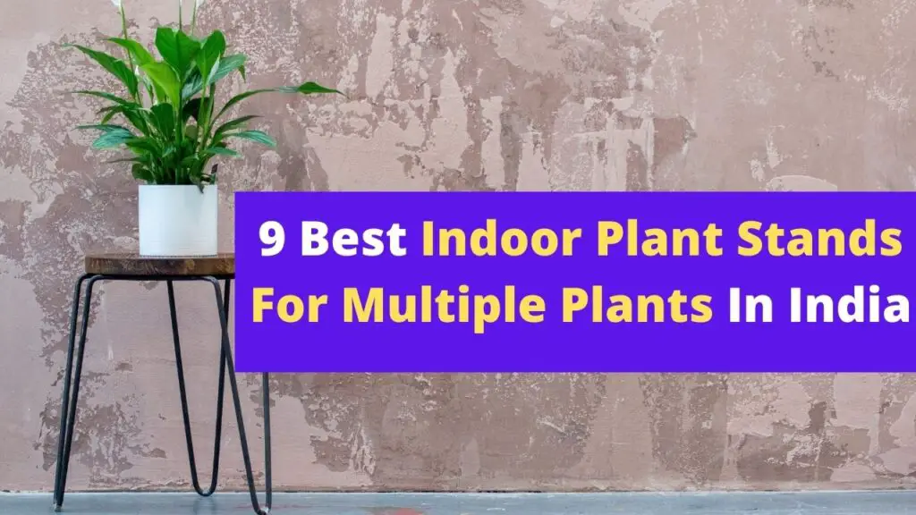 Best Indoor Plant Stands For Multiple Plants In India