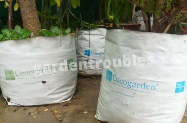Grow Bag Size Chart for Vegetables India